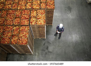 Top View Of Worker Standing By Apple Fruit Crates In Organic Food Factory Warehouse.