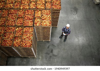 Top View Of Worker Standing By Apple Fruit Crates In Organic Food Factory Warehouse.