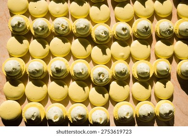 Top view of yellow macaron shells and filled macarons arranged in rows under warm natural sunlight.