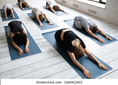 Top view yoga group work out seven diverse people in sportswear lying on mats doing Child Asana, resting accomplish session, exercise calms body and mind, reduce fatigue after lesson, wellness concept