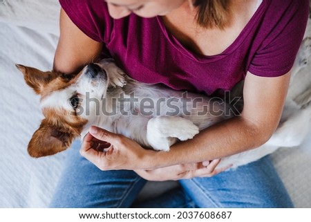 top view of young caucasian woman at home holding cute jack russell dog like a baby. Pets, love and relax indoors