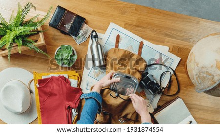 Similar – Image, Stock Photo unrecognizable woman traveling by car with her cute small dog