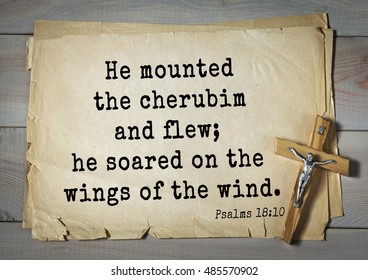 TOP-1000.  Bible Verses From Psalms.
He Mounted The Cherubim And Flew; He Soared On The Wings Of The Wind. 