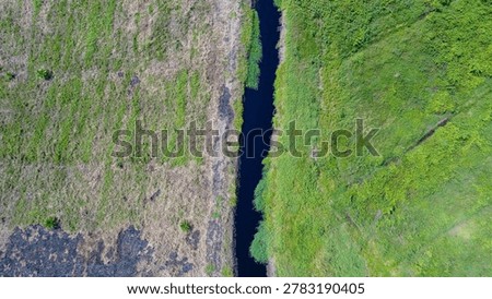 A top-down aerial drone perspective captures a winding natural blackwater stream flowing along an irregular path through a degraded peatland ecosystem, highlighting critical natural hydrological functions.