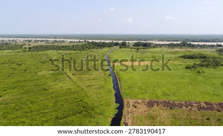 A top-down aerial drone perspective captures a winding natural blackwater stream flowing along an irregular path through a degraded peatland ecosystem, highlighting critical natural hydrological functions.