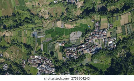 Top-down aerial drone view capturing a vibrant rural village settlement nestled closely among lush green agricultural fields and terraced farmlands in sukabumi west java