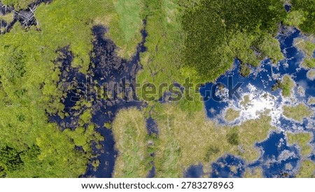 Top-down aerial drone view capturing a highly degraded tropical peatland ecosystem impacted by repeated forest fires. The frame exhibits patchy secondary regrowth, open shrublands, and large pools of dark, stagnant blackwater sitting on waterlogged organic soils.