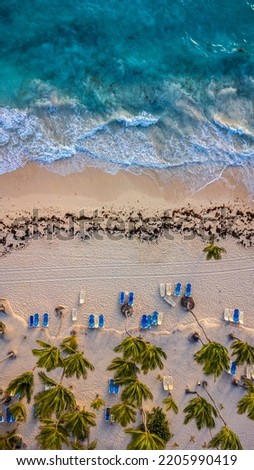 Topdown aerial view of Bavaro Beach with waves and palm trees, Punta Cana, Dominican Republic. Photo taken with drone in April 2022.