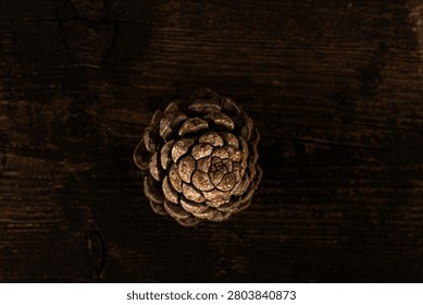 Top-down close-up of a dried pine cone resting on a dark rustic wooden surface, illuminated by dramatic side lighting that highlights its natural spiral pattern and textured scales. Moody, low-key composition with negative space, ideal for autumn, nature, and rustic-themed designs.