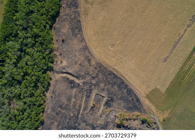 Top-down complex boundary between a green forest, black scorched earth after a fire, and a golden field. Visible rectangular trench and fortification in the damaged zone suggests military activity.