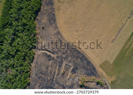 Top-down complex boundary between a green forest, black scorched earth after a fire, and a golden field. Visible rectangular trench and fortification in the damaged zone suggests military activity.