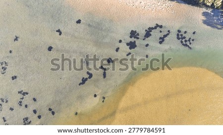 Top-down drone perspective of clear coastal water flowing over shifting sandbanks and dark patches.