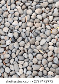 A top-down full-frame vertical view showcasing a thick layer of mixed natural smooth oval river pebbles and stone gravel with scattered small dry leaves.
