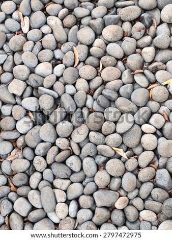 A top-down full-frame vertical view showcasing a thick layer of mixed natural smooth oval river pebbles and stone gravel with scattered small dry leaves.
