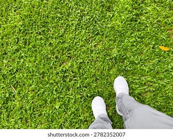 A top-down, high-angle shot showcasing a person's feet stepping onto a lush, vibrant green grass lawn. The individual is wearing crisp white athletic sneakers with unique quick-toggle lacing systems, paired with comfortable grey trousers or sweatpants. The dense, healthy carpet of grass covers the majority of the frame, creating a natural background with fine textures. A single small yellow leaf sits near the right edge, adding a subtle touch of contrast to the rich green scenery.