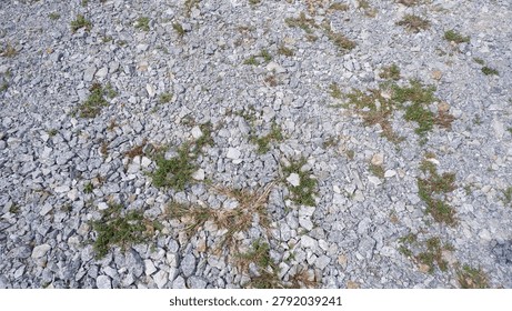 a top-down landscape shot capturing the rough texture of a crushed stone or gravel road surface used for patrolling paths. small patches of green weeds and wild grass sprout through the grey aggregate rocks.