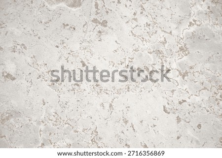 A top-down macro view of a light-colored natural stone surface, likely marble or travertine, featuring an intricate organic pattern of cream and grey mottling.