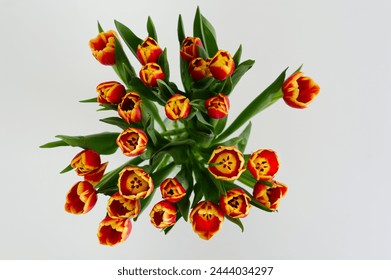 Top-down perspective, behold a captivating bouquet of red and yellow tulips displayed in a glass vase against a clean white background. - Powered by Shutterstock