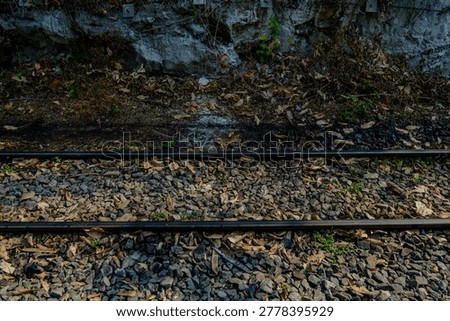 A top-down perspective capturing a section of a vintage railroad track running alongside a rugged stone cliff. The composition is divided by the dark, parallel steel rails, set against a bed of grey ballast gravel and scattered dry autumn leaves. Above the tracks, the base of a natural rock wall adds a sense of raw, earthy texture to the scene