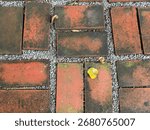 A top-down shot of a rustic brick pathway with small gray gravel in between the bricks. The weathered surface of the bricks shows a mix of faded red, brown, and green moss, creating a textured