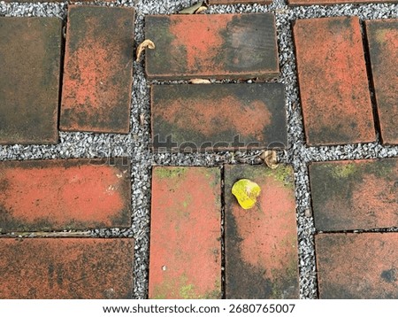 A top-down shot of a rustic brick pathway with small gray gravel in between the bricks. The weathered surface of the bricks shows a mix of faded red, brown, and green moss, creating a textured
