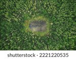 A top-down view of a beaver pond surrounded by deep green coniferous and deciduous trees in a boreal forest in the upper reaches of northern Minnesota.