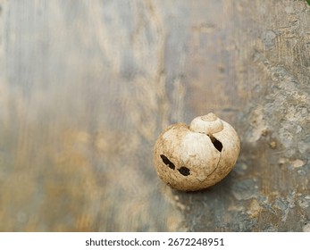 A top-down view of a broken snail shell on a soft, textured concrete floor. The light, neutral tones and visible cracks evoke a sense of fragility and quiet decay. - Powered by Shutterstock - Get 15% off with code: PIKWIZARD15