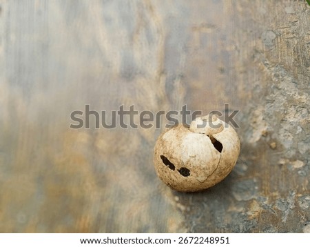 A top-down view of a broken snail shell on a soft, textured concrete floor. The light, neutral tones and visible cracks evoke a sense of fragility and quiet decay.