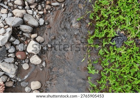 A top-down view of a clear stream, rocks, and lush green vegetation. Ideal for nature and environment themes.