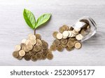 Top-down view of a coin pile with a small plant growing on it, placed on a bright grey table, symbolizing financial growth, investment, and the potential for future prosperity