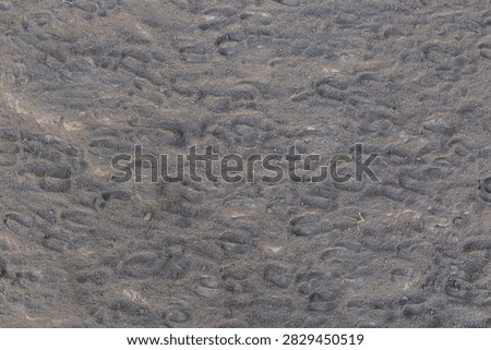 Top-down view of dry ground surface featuring numerous indentations resembling footprints or sheep hoof prints.