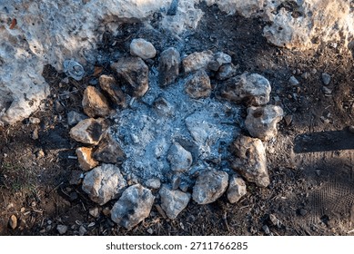 Top-down view of an extinguished campfire ring with stones and ash on forest ground, showing outdoor use, wilderness setting, and camping activity.