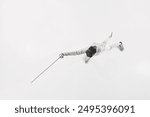 Top-down view of fencer in action, lunging with his epee performing his power and strength during battle against white studio background. Concept of professional sport, competition, achievement. Ad