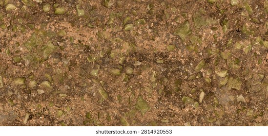 A top-down view of a forest floor surface featuring dirt, scattered gravel, small rocks, and patches of moss.