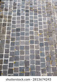Top-down view of grey square cobblestone paving on a walkway, scattered with small fallen yellow leaves