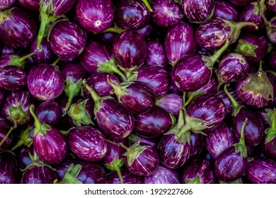 Brinjal Images  Browse 386320 Stock Photos Vectors and Video  Adobe  Stock
