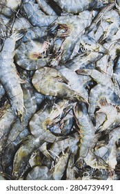 Top-down view of a large quantity of fresh raw tiger prawns with heads and shells intact, showcased at a seafood market for wholesale or retail sale.