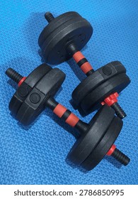 Top-down view of a pair of adjustable black dumbbells with red grip accents, loaded with weight plates, placed on a blue textured rubber fitness gym mat, representing strength training, weightlifting, and home workout concepts.