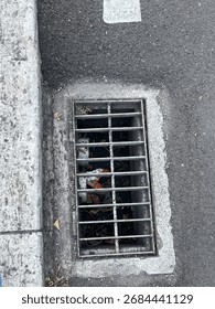A top-down view of a rectangular metal storm drain grate on an asphalt surface next to a concrete curb. Debris is visible inside, illustrating urban infrastructure and a gritty, industrial concept.