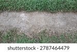 Top-down view of a rustic dirt path cutting through a green grass lawn, featuring natural textures of dry earth, cracked soil, and vibrant green turf in a countryside or garden setting. Free area for text. 