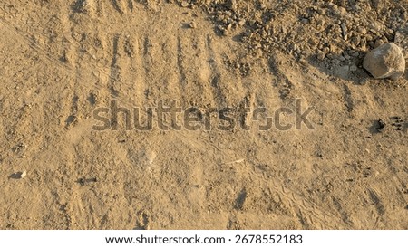 A top-down view of a sandy, dirt path. The surface has various textures, including tire tracks, a few animal prints, scattered stones, and a larger rock on the right side.