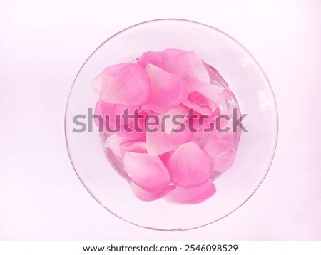 A top-down view of soft pink rose petals gently floating in a clear glass bowl filled with water.
