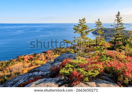 A top-down view from the summit of a mountain in Acadia National Park, showcasing brilliant fall foliage in the foreground with the Atlantic Ocean and distant coastline stretching into the horizon.