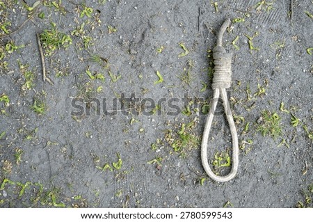 Top-down view of a thick hemp rope hangman's noose resting on the right side of a sandy ground surface scattered with green sprouts and organic debris.
