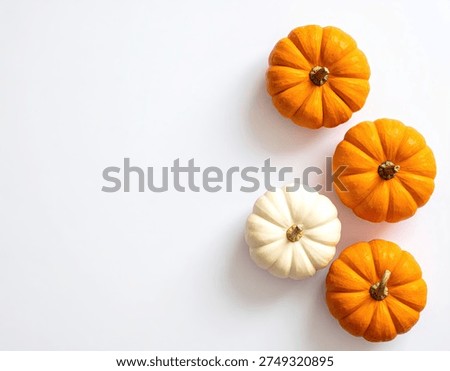 A top-down view of three small orange pumpkins and one small white pumpkin arranged on a bright white surface, creating a simple and clean autumn or Halloween themed image.