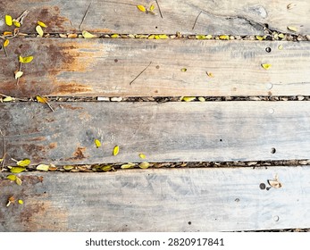 A top-down view of weathered wooden deck planks featuring visible wood grain, signs of wear, and scattered small yellow fallen leaves nestled in the gaps.
