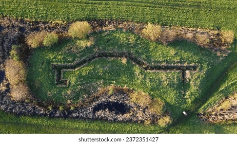 a top-down view of a weed-infested trench surrounded by a lush green grassy landscape