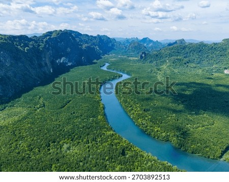Top-down view of a winding river surrounded by lush, emerald-green mangrove trees on the Andaman Sea coast. A healthy and protected ecosystem.