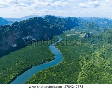 Top-down view of a winding river surrounded by lush, emerald-green mangrove trees on the Andaman Sea coast. A healthy and protected ecosystem.