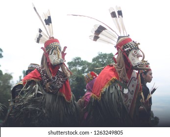 Topeng Hudoq Dayak Tribe This Dayak Stock Photo 1263249805 | Shutterstock